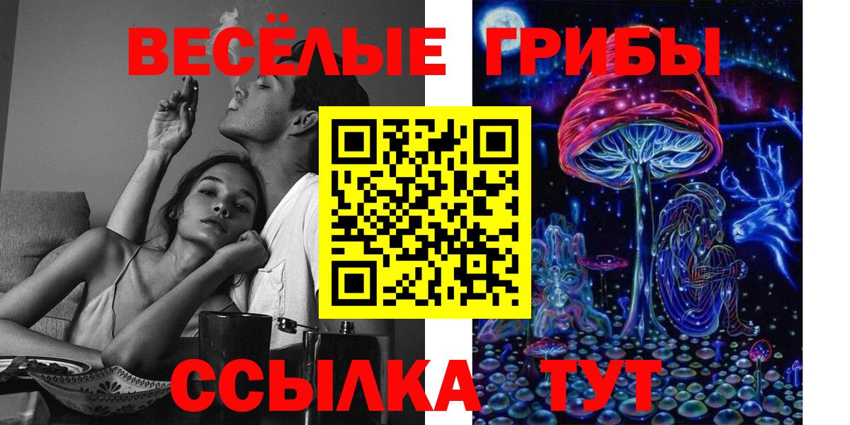 как найти закладки  Вход с VPN  Кимовск  Псилоцибиновые грибы MAGIC MUSHROOMS 